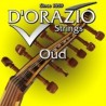 D'orazio Oud 12 strings