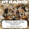 Pyramid flamenco guitar