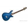 Electric line 6 blue variax 700