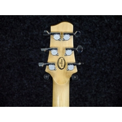 Electric line 6 blue variax 700