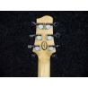 Electric line 6 blue variax 700