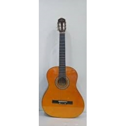 Guitare classique Starsun 851"