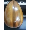 Oud & Luth marocain