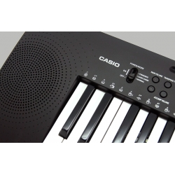 Orgue Casio CTK-245