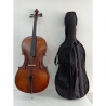 Violoncelle 4/4 avec pochette