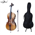 Violoncelle 4/4 avec pochette