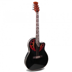 Guitare électro-acoustique M-416