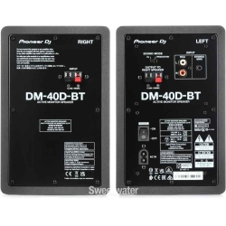 Moniteur DM-40 Pioneer (paire)