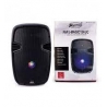 Enceinte Bluetooth Master PAPJ 15