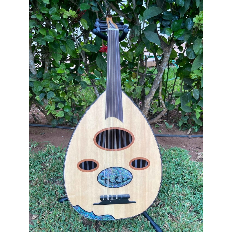 Oud & luth avec pochette