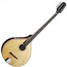 Bouzouki