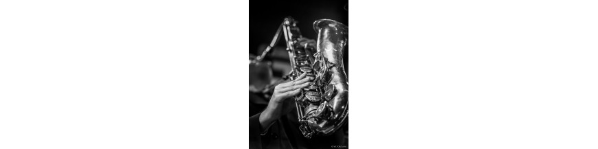 Saxophones & Trompettes & Clairon 